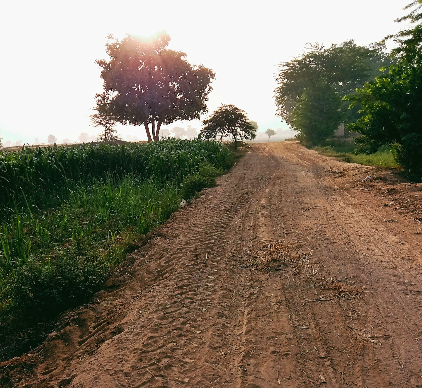 020d8fd9695d84a2c3578cca072c7f392a1ac419