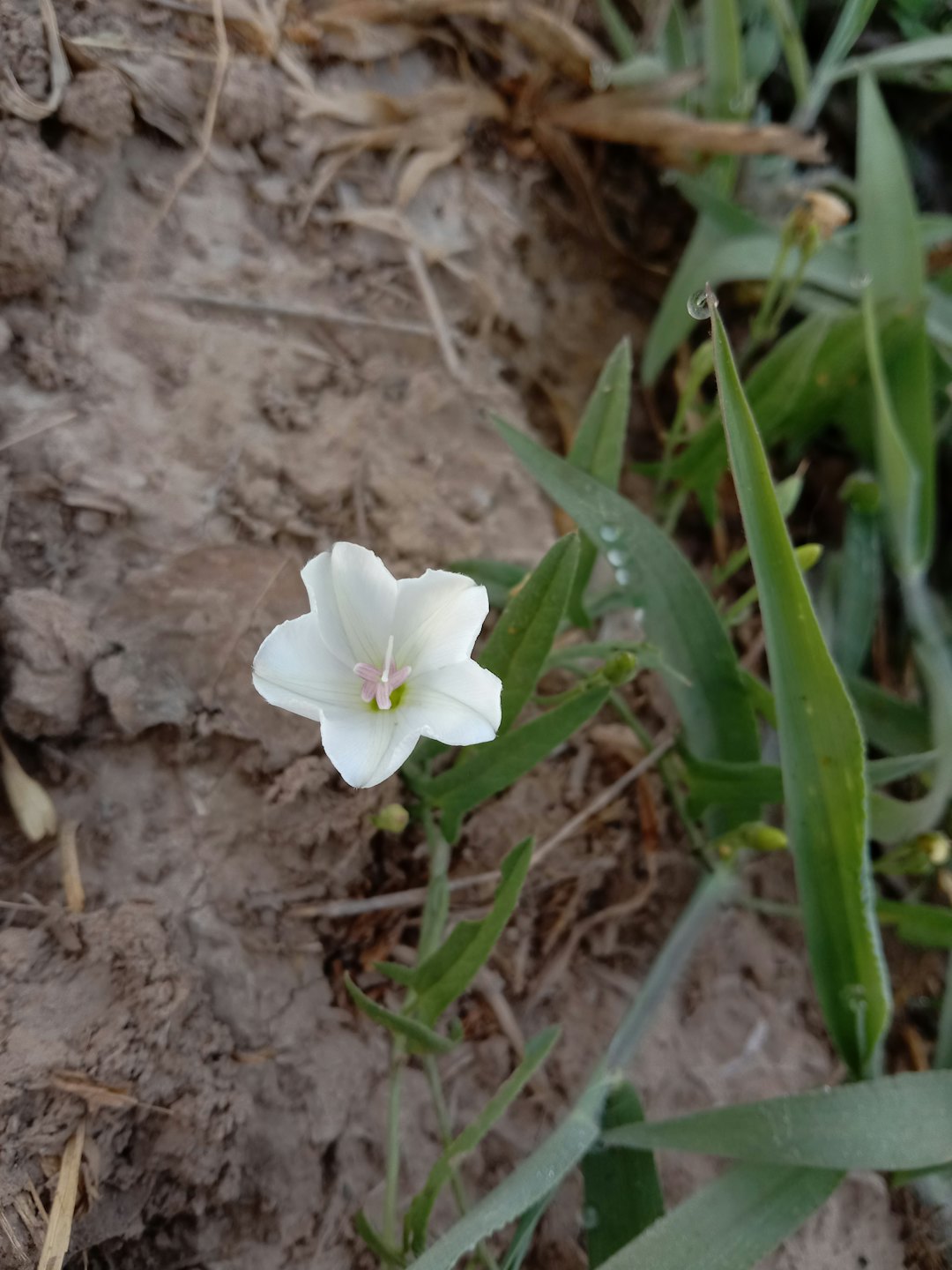 F009ea2f8ddf8694f2c17b03fc69ebae6082e614